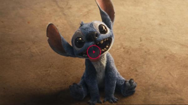 vietlilostitch.graphy.com